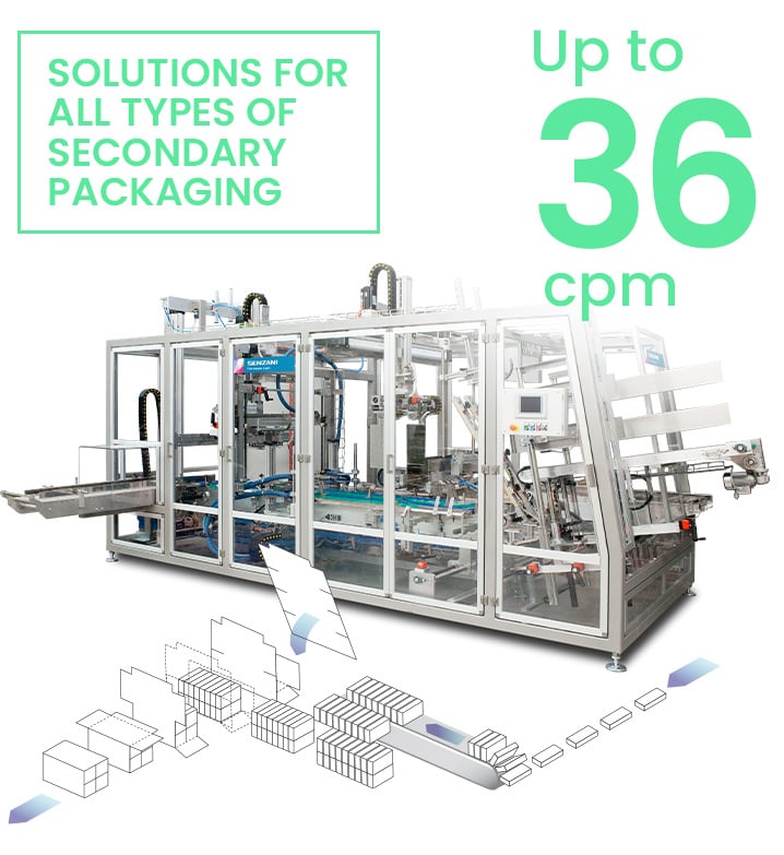 Macchina Case Packers con dati tecnici Macchina Case Packers con dati tecnici